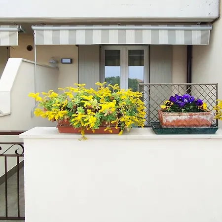 Miragarda